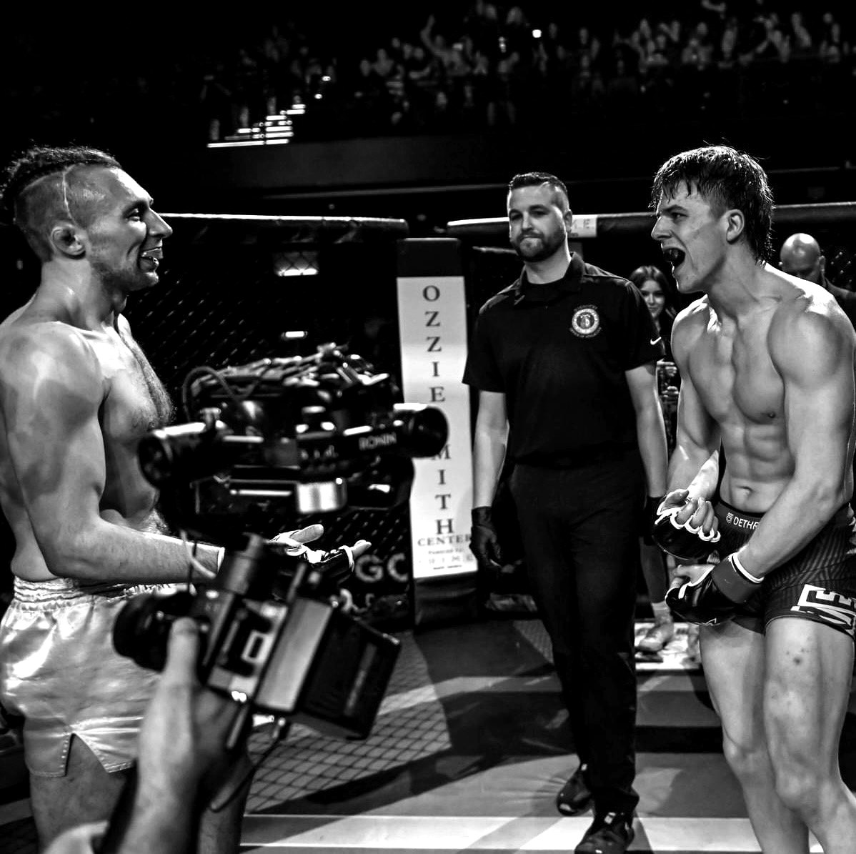 In the cage during a professional bout